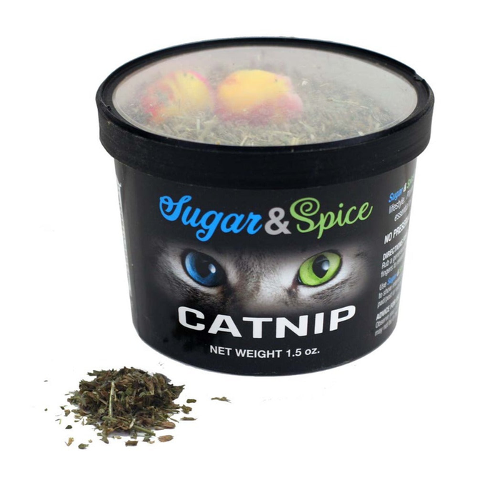ChewMax Catnip Container