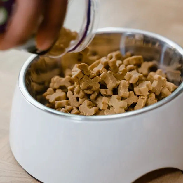 15 Natural and Healthy Dog Treats Your Pup Will Love