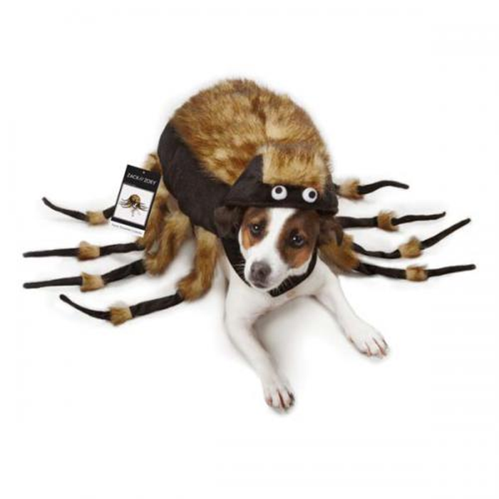 Fuzzy Tarantula Dog Costume