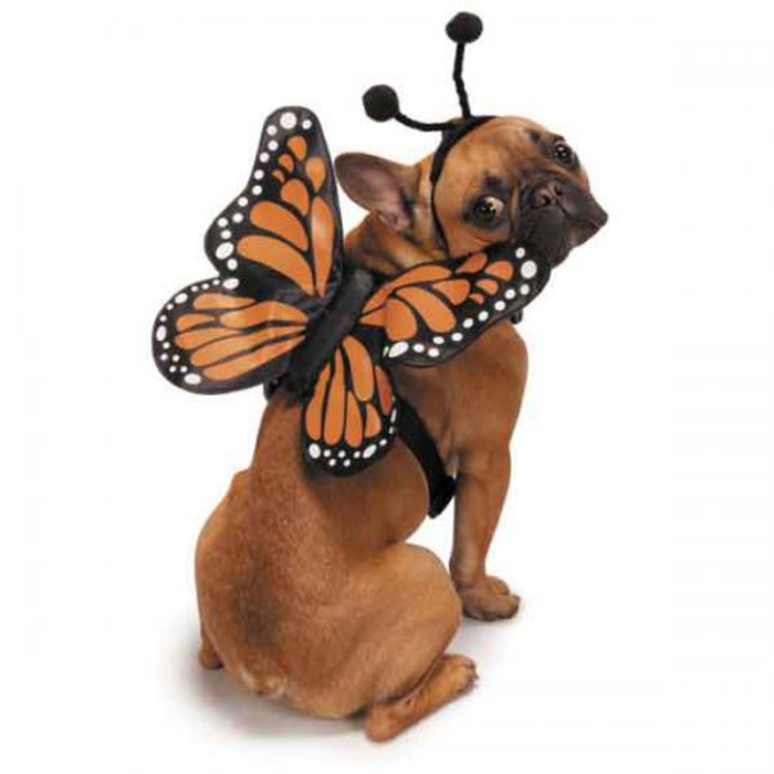 Butterfly Glow Harnesses Dog Costume