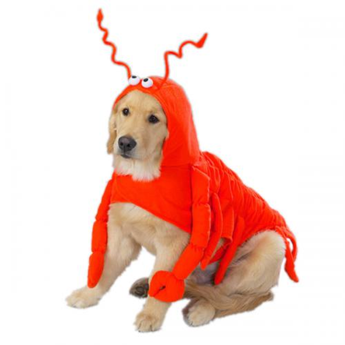 Casual Canine Lobster Paws Dog Costume