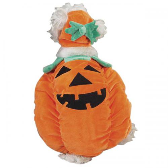 The Cutest Pumpkin Pooch Dog Costume