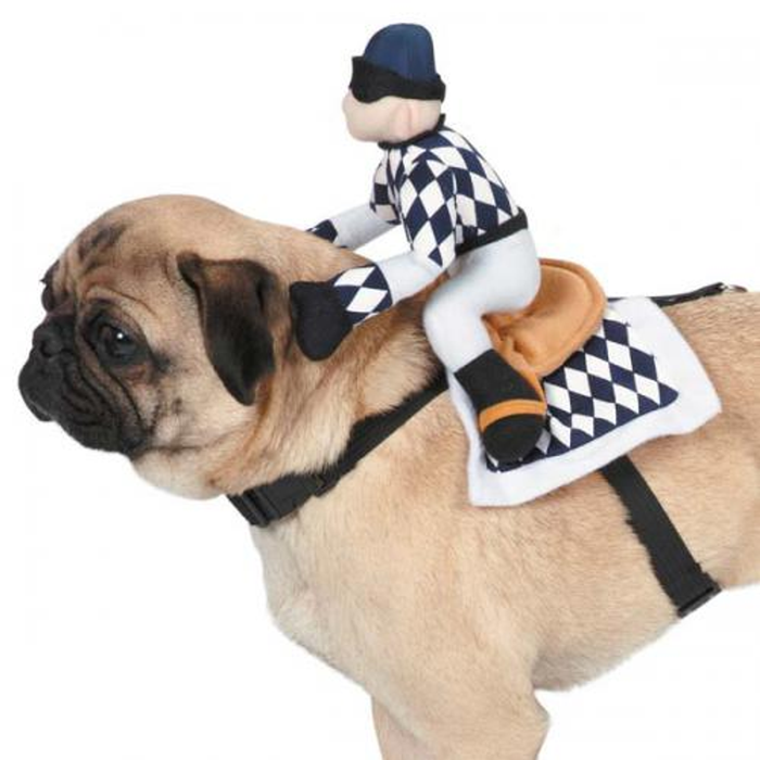 Cool Show Jockey Saddle Dog Costume