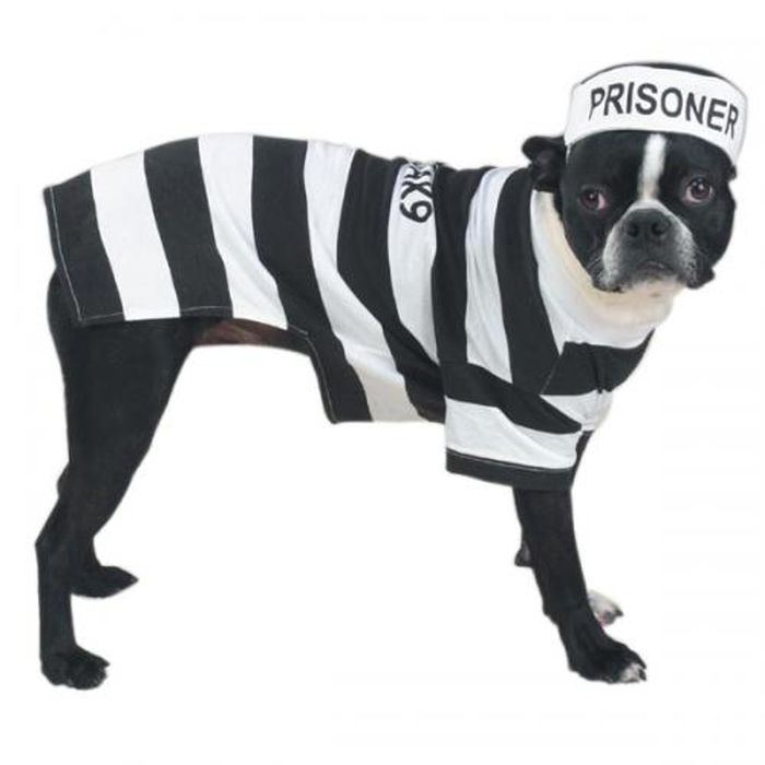 Casual Canine Prison Dog Costume