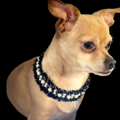 Luxurious Tweed Collar