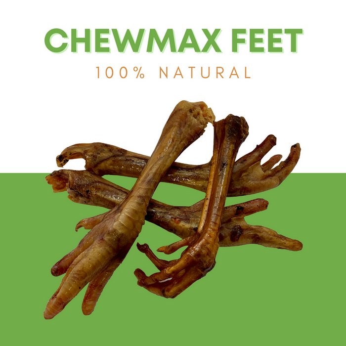 ChewMax Turkey Feet Dog Treat