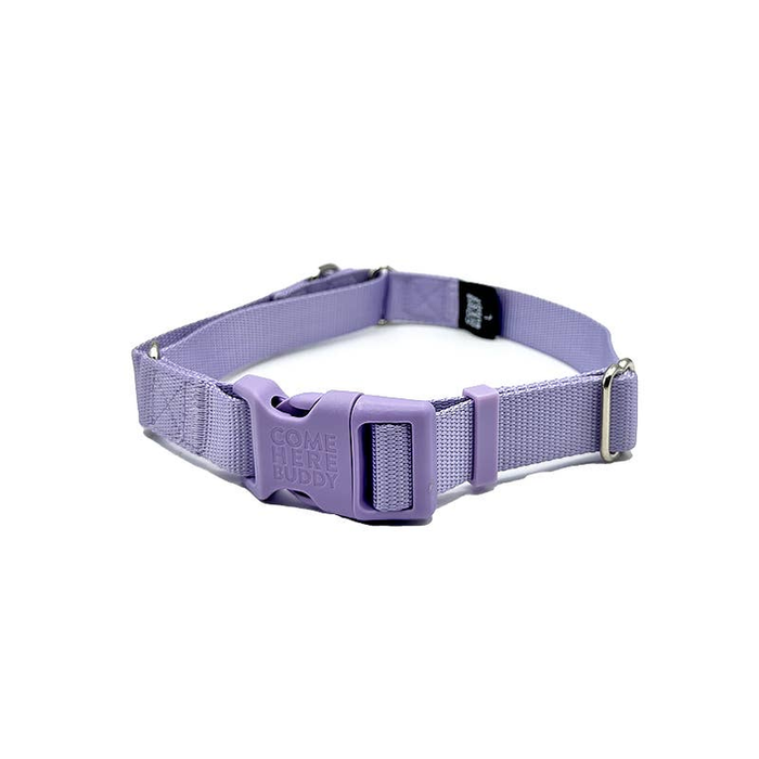 Lilac Martingale Collar