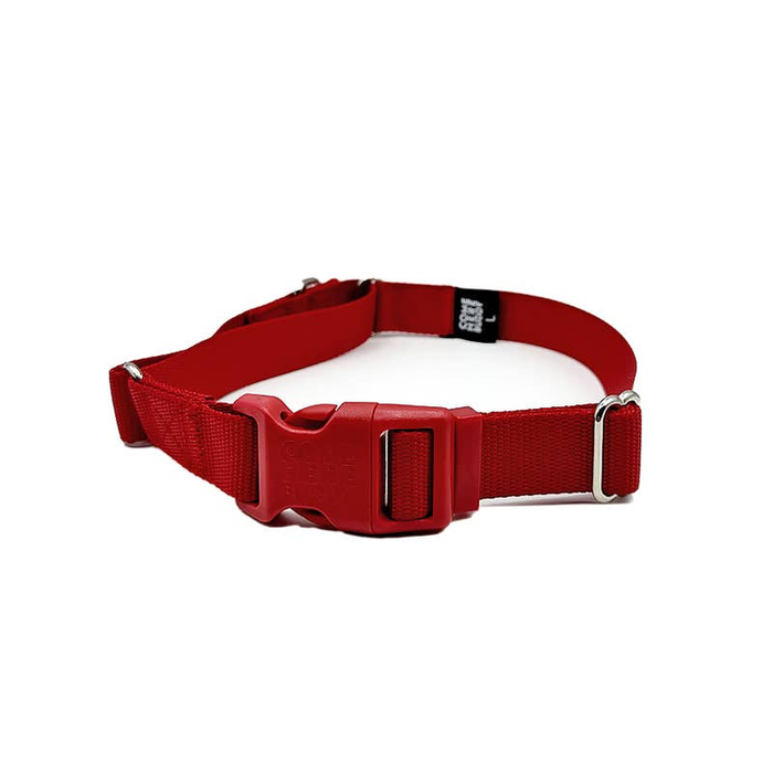 Red Martingale Collar