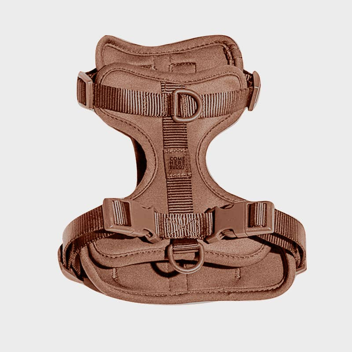 Brown Harness