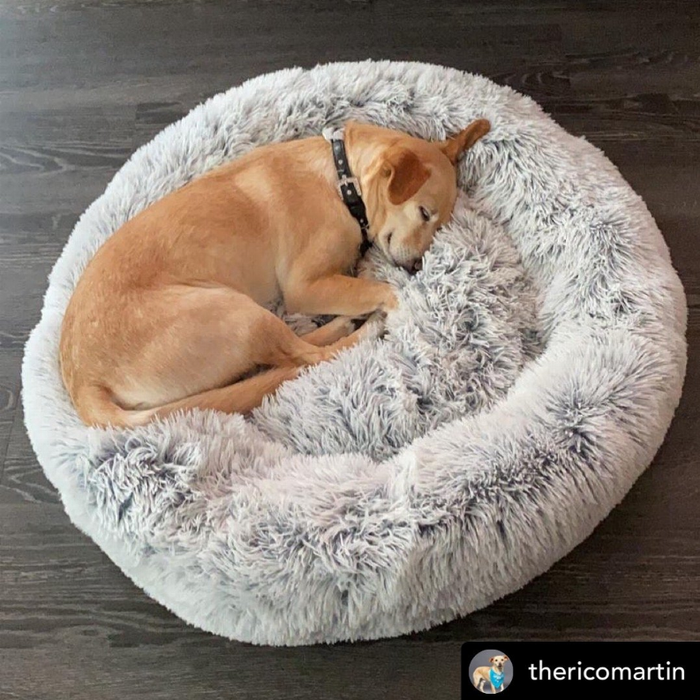 Mr.Plush Pet Bed Peanut's Ortho